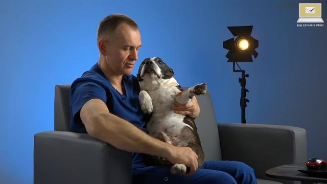 Вывих коленной чашки. Случай в эфир. Диагностика. смотреть онлайн