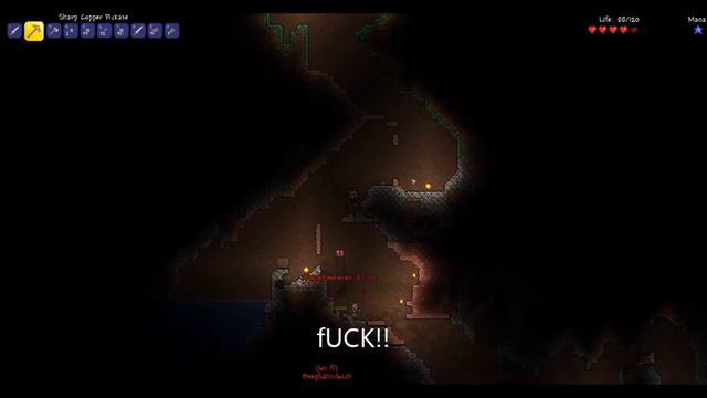TERRARIA RAGING VOID!!! смотреть онлайн