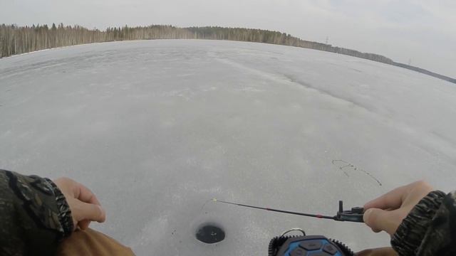 белоярка гороховое( плотва поперла ))) смотреть онлайн