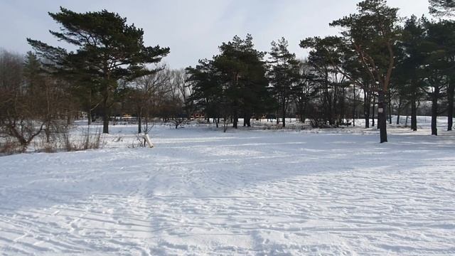 Балтийское море замёрзло ! // пос. Малиновка#калининград#зимавкалининграде#отдыхнаморе#море смотреть онлайн