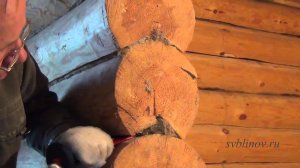 Как конопатить сруб своими руками? Конопатка сруба