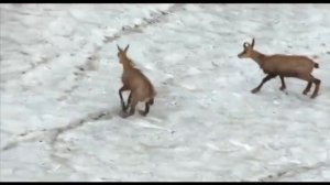 Россия от края до края Большой Кавказ