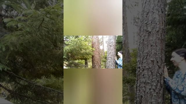 Стихотворение "Я березку поглажу..."Читает Даниэла Флорес смотреть онлайн
