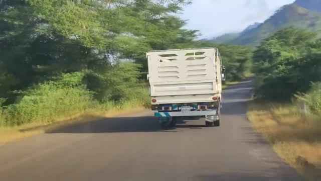 Best Ethiopian Classical Music Collection| Ethiopian Instrumental Music| Classical Music