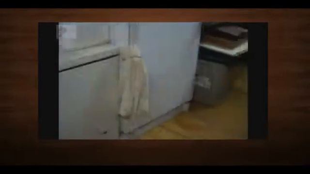 Самые смешные ролики про животных 5 смотреть онлайн