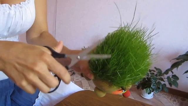 Стрижка травянчика ёжика от Вместе с травянчиком)) смотреть онлайн