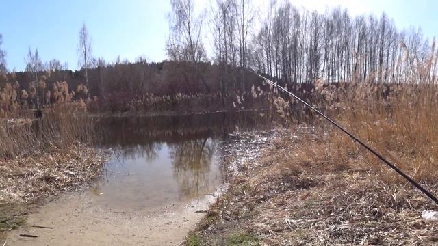 ЛОВЛЯ НА ФИДЕР 2022 В АПРЕЛЕ. Часть 3 смотреть онлайн