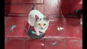 ВПУСТИЛ В ДОМ УГАРНЫЙ ГАЗ ПО ОШИБКЕ. ИСПРАВЛЯЮ НА ВИДЕО. [Жизнь в деревне]