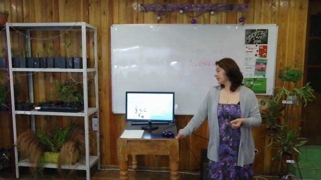 Лекция по гортензиям смотреть онлайн