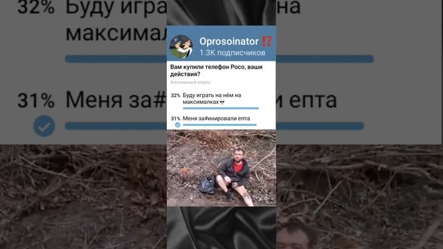 Опросы тг