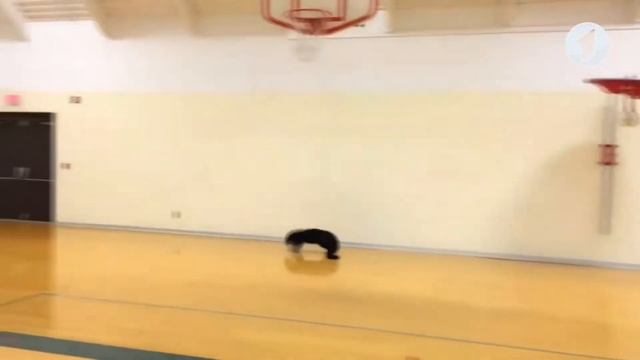 Что? Откуда? Почему? О месяцах, бинтуронге и фотоволшебстве - 22/12/21 смотреть онлайн