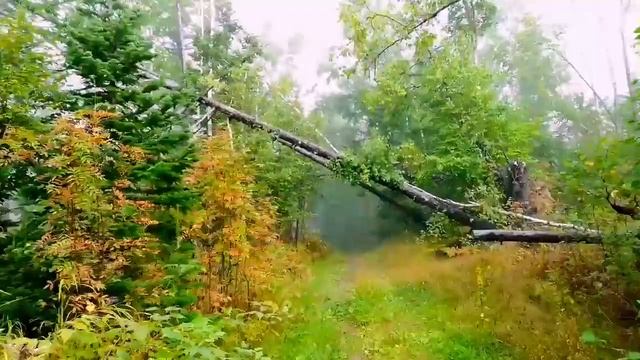 Тихая охота смотреть онлайн