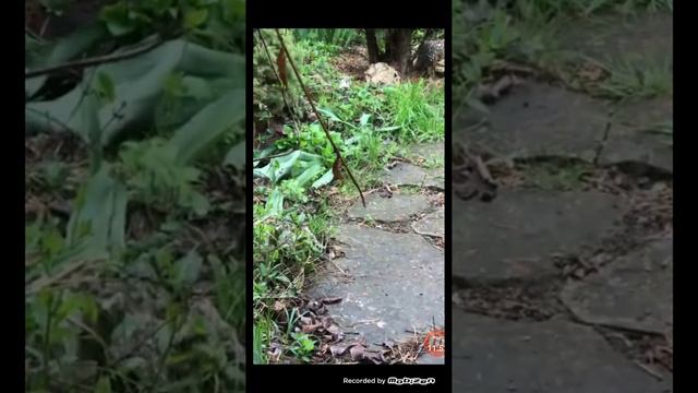Женщина без морали в деле Влада Бахова.