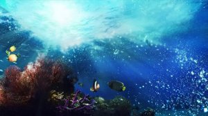 Музыка для релаксации. Расслабьтесь под песни дельфинов и китов под водой