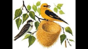 "Лесные домишки"  сказка В. В. Бианки