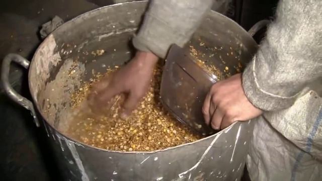 Как прорастить несколько вёдер зерна смотреть онлайн