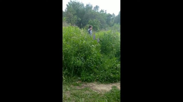 Эту запись нашли в старых домах смотреть онлайн