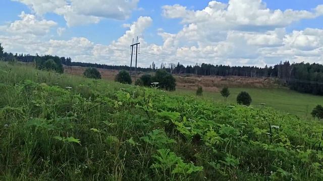 Прогулка с Диком 9.07.23 часть 3 новые прудики бешенство. смотреть онлайн