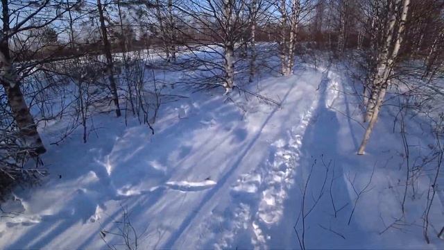 Ружье МР-155. Охота на лунках.