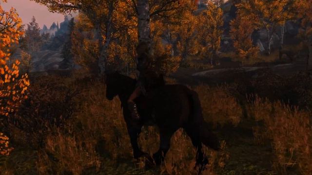 Riften - Skyrim Dusk 04 Aspens Flora Overhaul - WATER - SMIM - COT смотреть онлайн