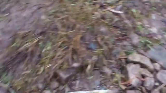 Речка Турука приток Лены смотреть онлайн