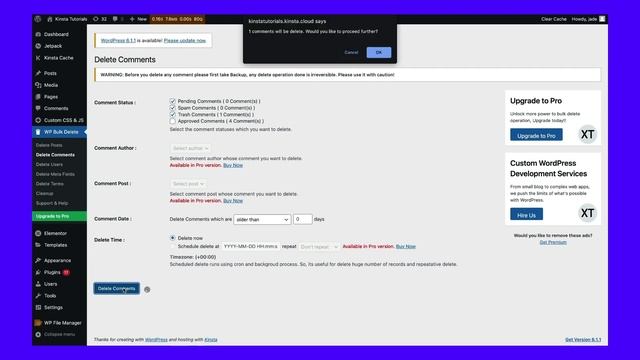 How To Delete All Comments From WordPress смотреть онлайн