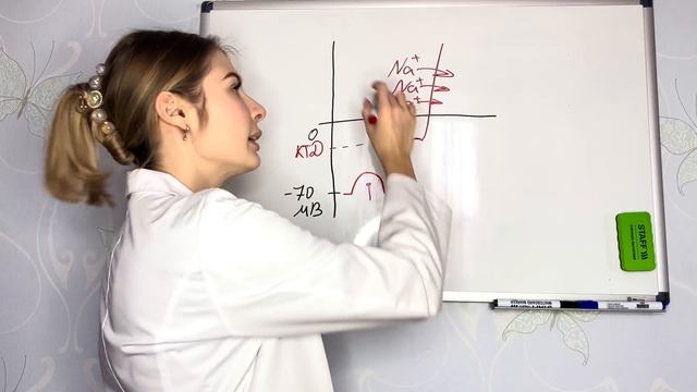 Физиология возбудимых тканей|Потенциал действия|Потенциал покоя смотреть онлайн