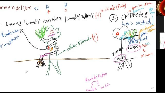 27 Dec2021 L- 1 [Examples of Commenselism= Lianas & Woody tree, Mango & Orchid, Shark & Sucker fish смотреть онлайн