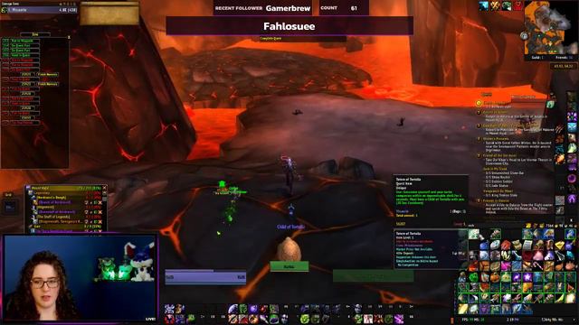 Warcraft: Chill Leveling With Azeroth Auto Pilot
