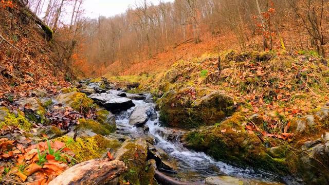 Ручейжурчание воды звуки природы для сновBeautiful Relaxing natural Music