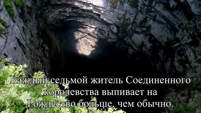 Сколько выпьем в Новый год — Статья