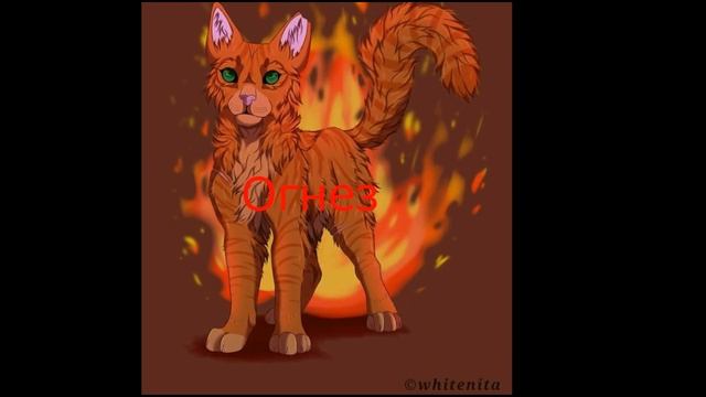 Коты Воители по строчкам песни "Режиссёр" смотреть онлайн