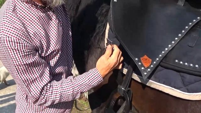 Седло Казачьего типа.