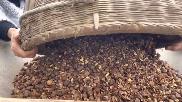 天气越来越冷了，大姐给婆婆买件新衣服，顺便送点鸡蛋过去【乡村大姐】 смотреть онлайн