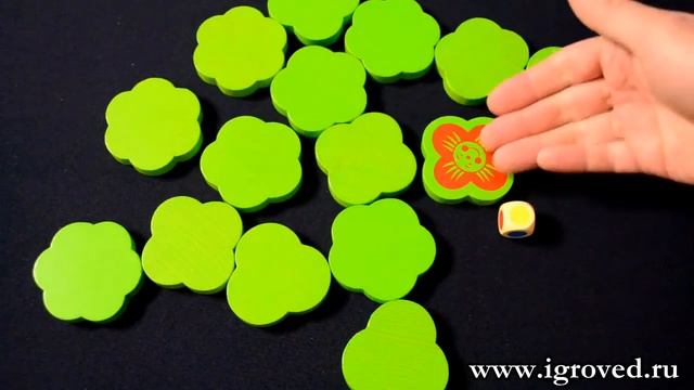 Собери букет. Обзор настольной игры от Игроведа смотреть онлайн