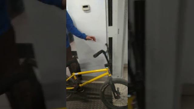 Быдло в спорт мастере.ГБР смотреть онлайн
