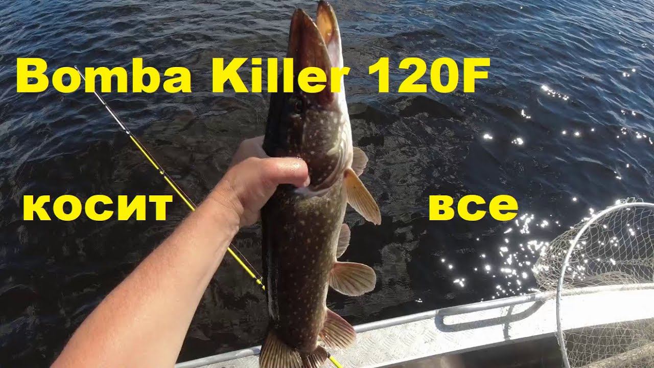 Бомба Киллер 120 Косит все смотреть онлайн