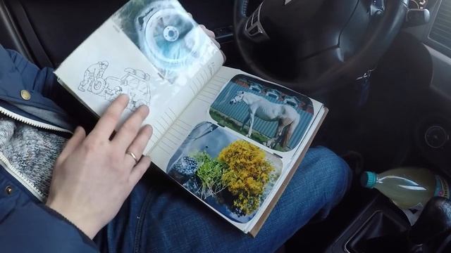 ЭКСКЛЮЗИВНОЕ ВИДЕО ДНЕВНИК КЛАДОИСКАТЕЛЯ VIDEOS DIARY OF A FORTUNE HUNTER смотреть онлайн