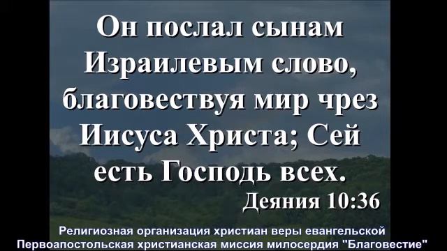 Три проблемы, одно решение 01 08 2021 смотреть онлайн