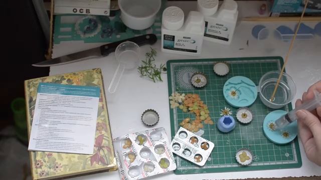 Гербарий в эпоксидной смоле Сангина ру смотреть онлайн