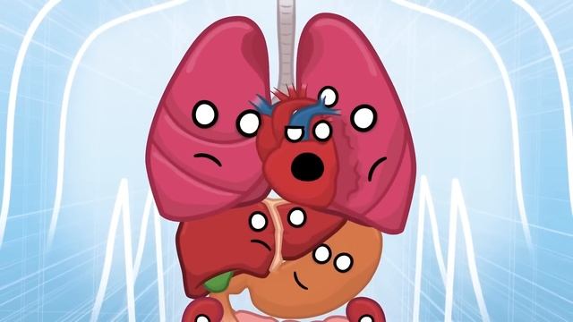 Что происходит с нашим мозгом, когда мы спим? смотреть онлайн