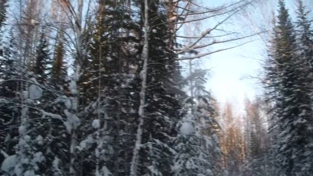 Зимняя охота Поход в зимовье Восточная Сибирь Иркутская обл 23 24 января 2016 г смотреть онлайн