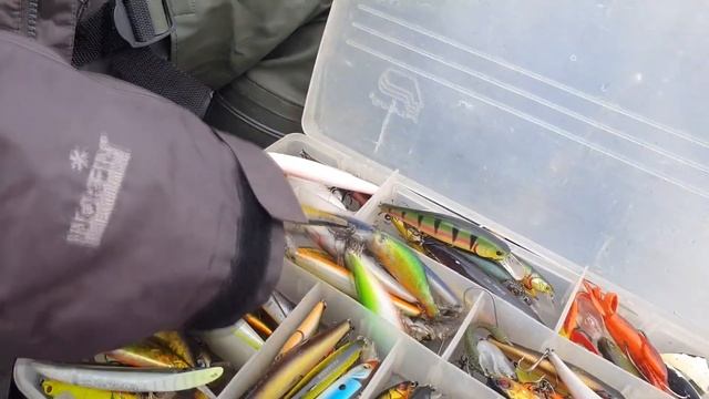 Лучший спиннинг для твичинга. Ловля щуки и окуня. Рыбалка смотреть онлайн