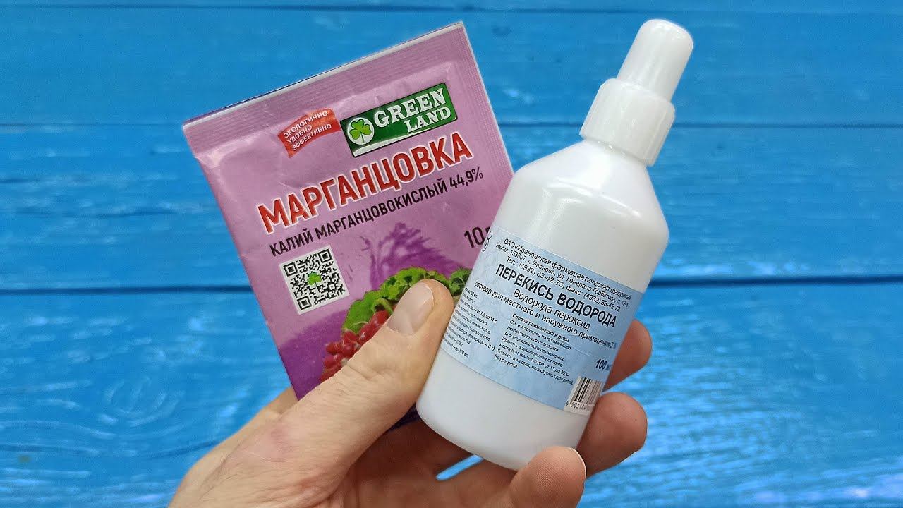 Смешал МАРГАНЦОВКУ и Перекись водорода, результат просто шикарный! Теперь всегда так делаю смотреть онлайн