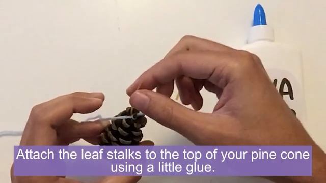 How to Craft an Invertebrate Using Pine Cones | Mission Invertebrate (The Royal Parks) смотреть онлайн