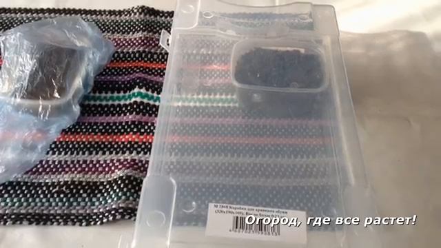 Посадка Цинерарии, Петуньи, Агератума.mp4 смотреть онлайн