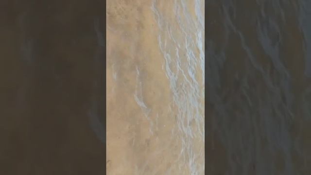 Magic Tulip Beach 4.Марса-Алам.Египет.Заход в море! смотреть онлайн