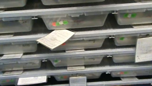 Ball Python Breeding footage - 01/26/08 part 2 смотреть онлайн