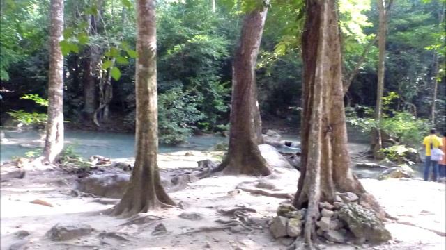 SlSh смотреть онлайн