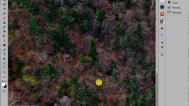 Как быстро перемещаться по фотографии смотреть онлайн